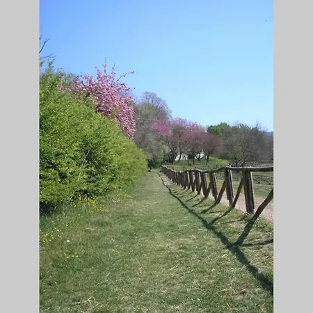 Del Nobile Ii Apartamento