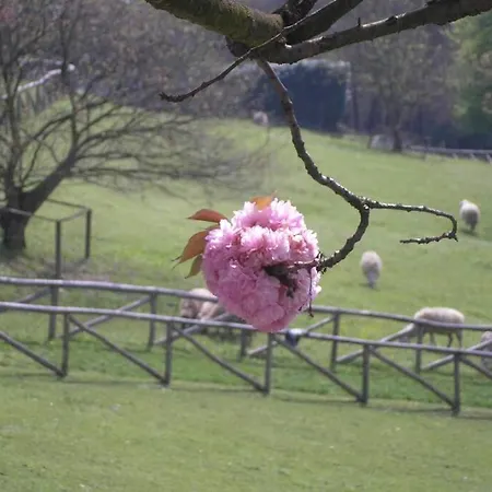 Del Nobile Ii Apartamento