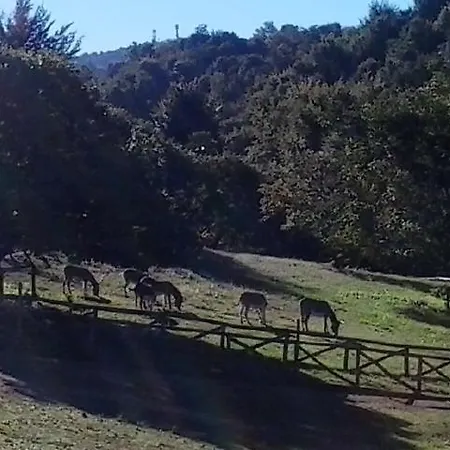 Apartamento Del Nobile Ii *