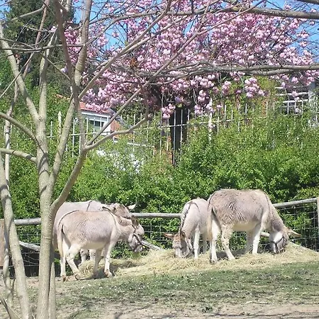 Del Nobile Ii Lägenhet